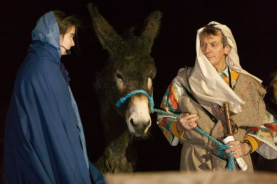 Mary_Joseph__Donkey_65_of_78.png